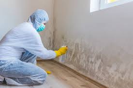 Reliable Puyallup, WA Mold Inspection Solutions